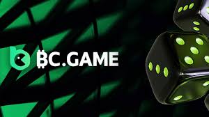 The Rise of Pakistan BC Game A Thriving Online Gaming Community The Rise of Pakistan BC Game A Thriving Online Gaming Community